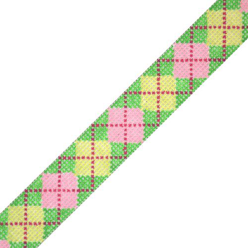 Gorgeous Argyle Belt in Lime, Pink, and Dark Pink on Grassy Green - Size 18