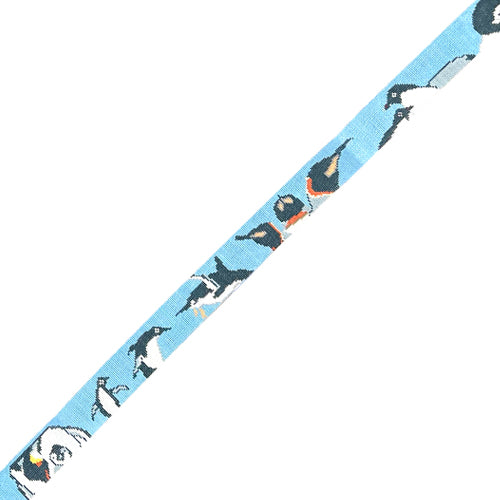 Antarctica Penguins Luxury Belt