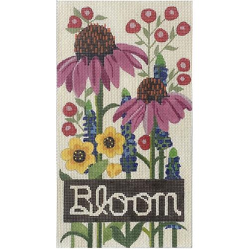 Be Enchanted by Coneflower Bloom